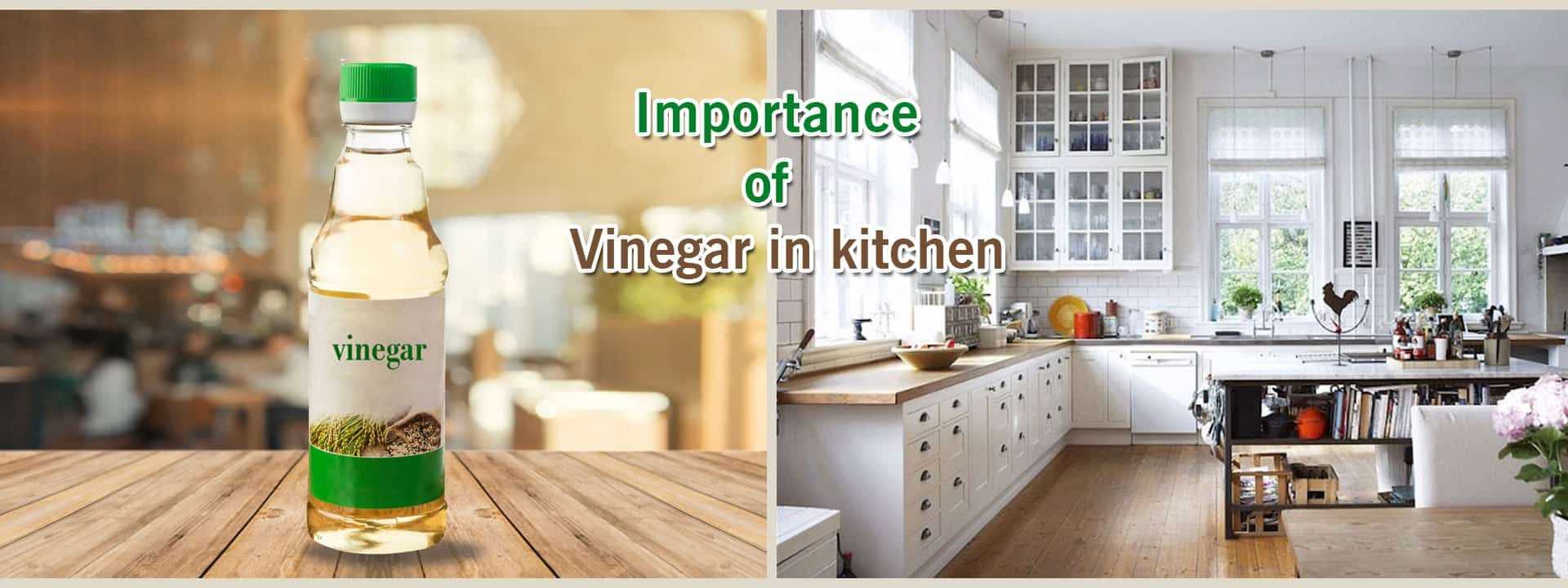 Importance Of Vinegar In Kitchen