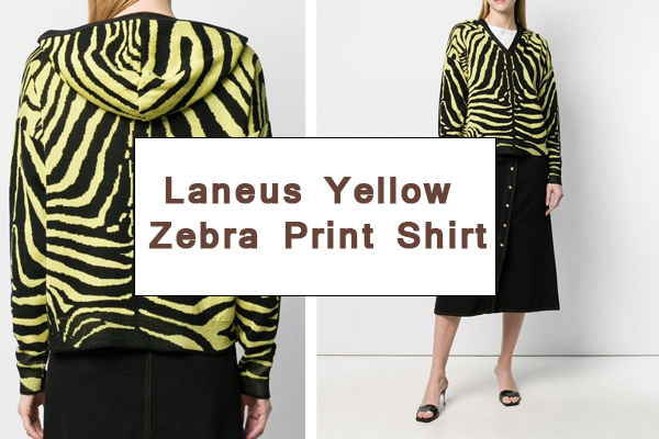zebra shirts